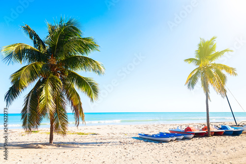 Fototapeta Naklejka Na Ścianę i Meble -  The tropical beach of Varadero in Cuba with sailboats and palm trees on a summer day sunset with turquoise water. Vacation background.