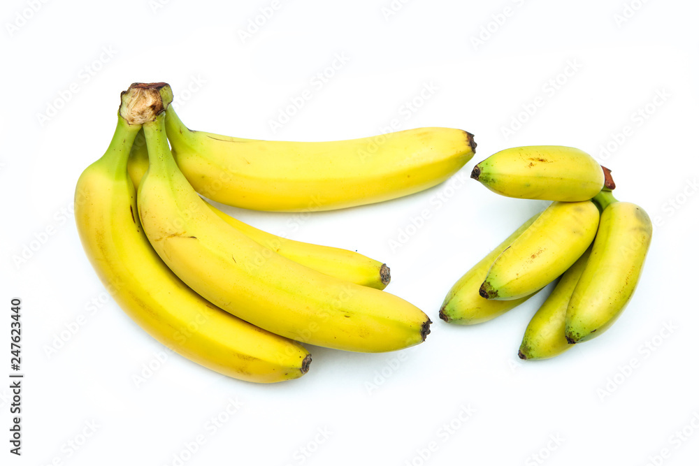 A comparison of two bunches of ripe bananas. One of normal and one of baby bananas. 
