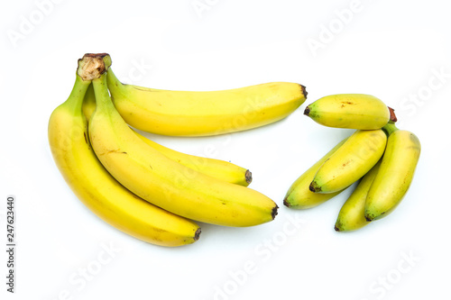 A comparison of two bunches of ripe bananas. One of normal and one of baby bananas. 