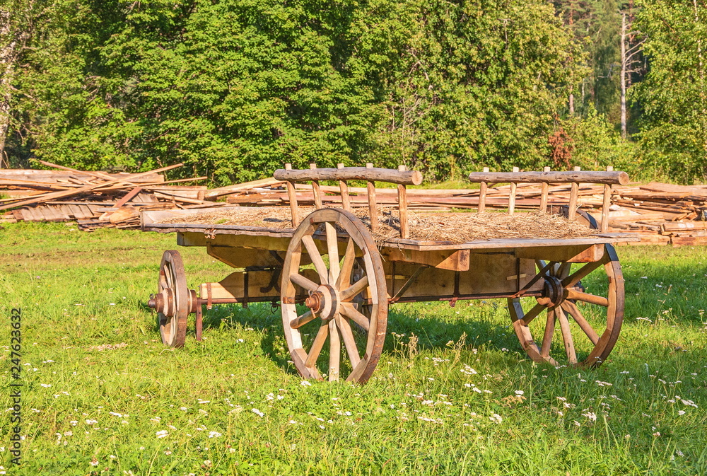 Vintage wooden cart stands on the lawn in the forest