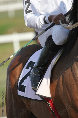 Horse Racing Details