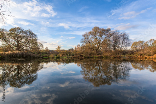 landscape with river and forest