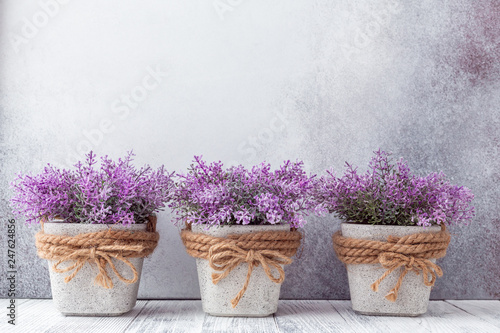 Fototapeta Naklejka Na Ścianę i Meble -  Small purple flowers in gray ceramic pots on stone background Rustic style