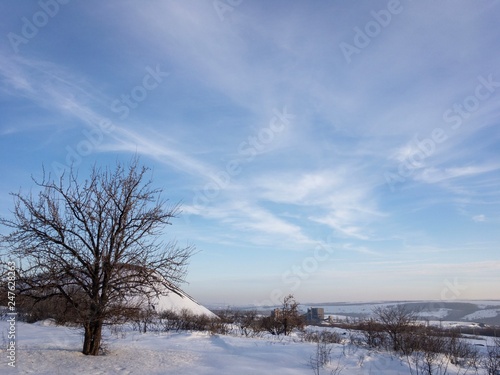 winter landscape with snowy trees and blue sky