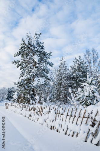 Snow-covered landscape in the countryside. Viitna, Estonia