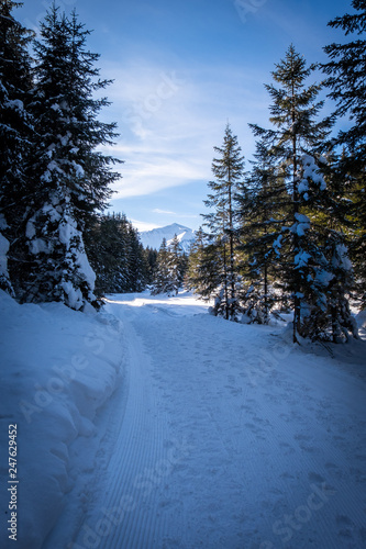 Walking path in snowy holiday-resort Hohentauern with mountain Grosser Schober