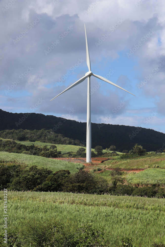 Fototapeta premium Eoliennes Guadeloupe