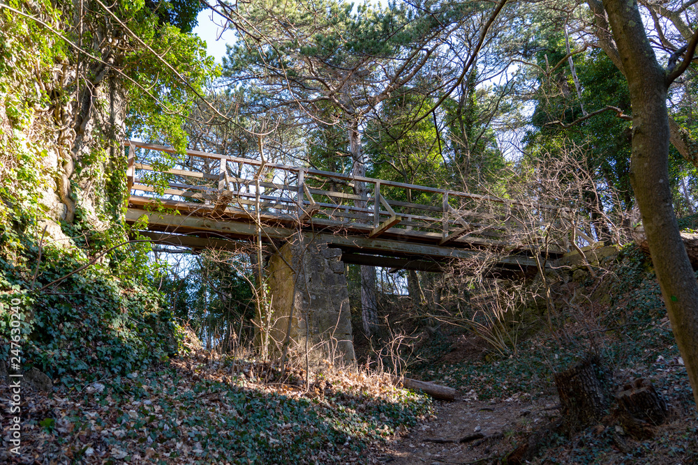 Brücke und Burggraben der Burgruine Rauheneck Brücke und Burggraben der Burgruine Rauheneck