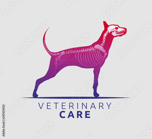 Veterinary Care Emblem Design, Bone Scan Dog Care vector illustration
