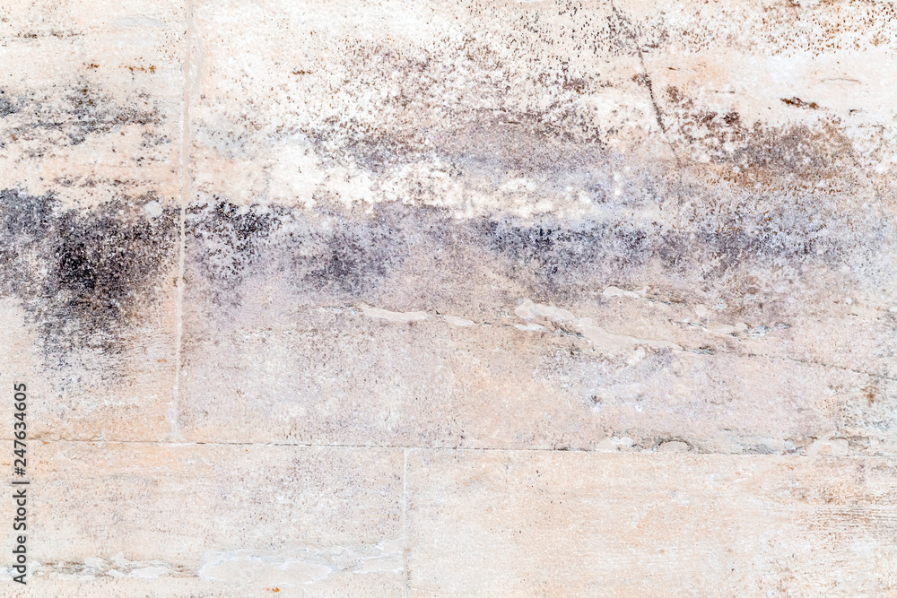 Fototapeta premium Grunge concrete wall texture background