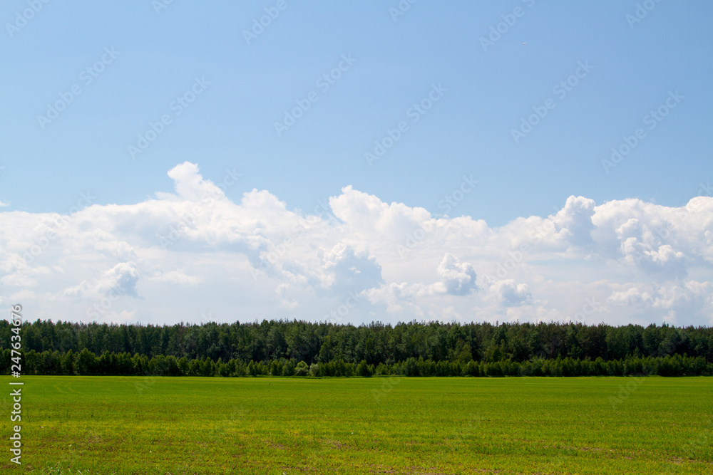 green field and blue sky green field and blue sky