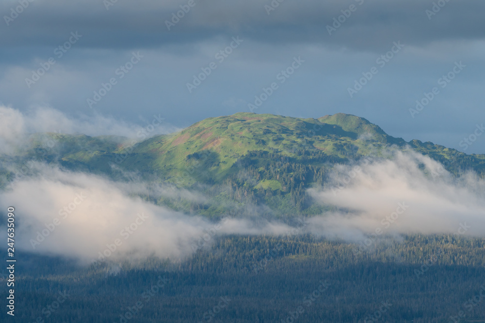 Landscape in South East Alaska