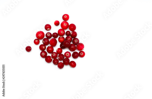 Wild berries cranberries on a white background top view