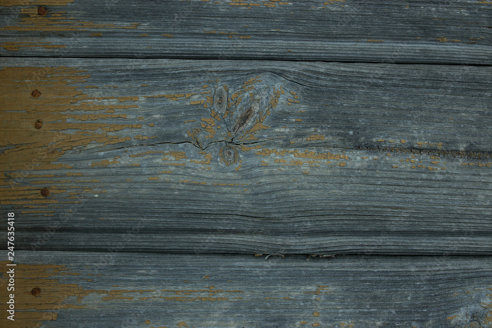 Fototapeta premium texture of old wooden board. solid wood table. Shabby surface