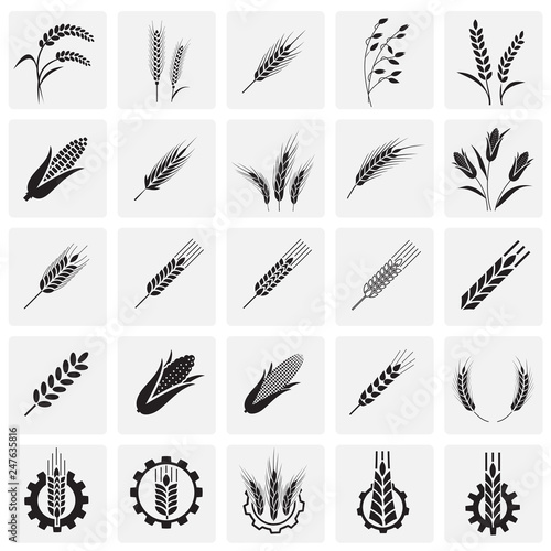 Cereal icons set on squares background for graphic and web design, Modern simple vector sign. Internet concept. Trendy symbol for website design web button or mobile app