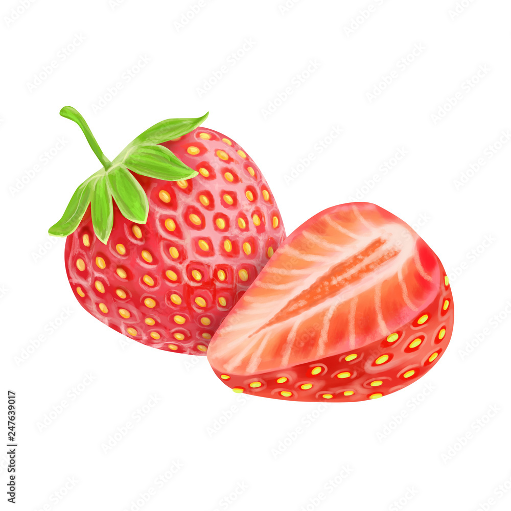 Strawberry isolated on white background. Set of whole and cut strawberry  fruits isolated on white background with clipping path. Watercolor.  Illustration. Template. Hand drawing. Close-up. Clip art. Stock  Illustration | Adobe Stock