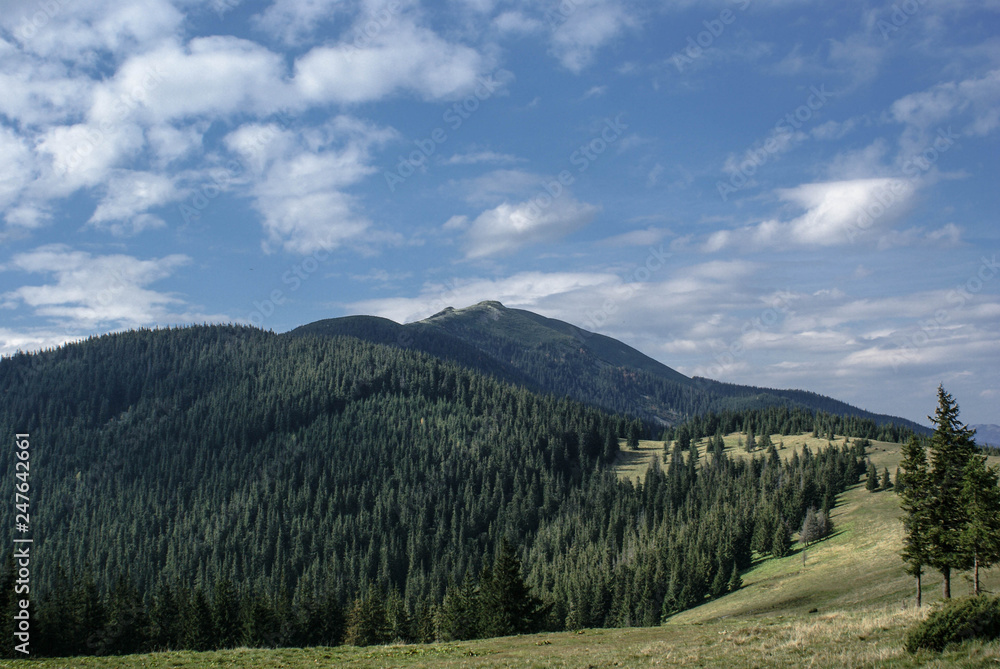Góry Ukrainy. Czarnohora, Zakarpacie, Ukraina, Europa