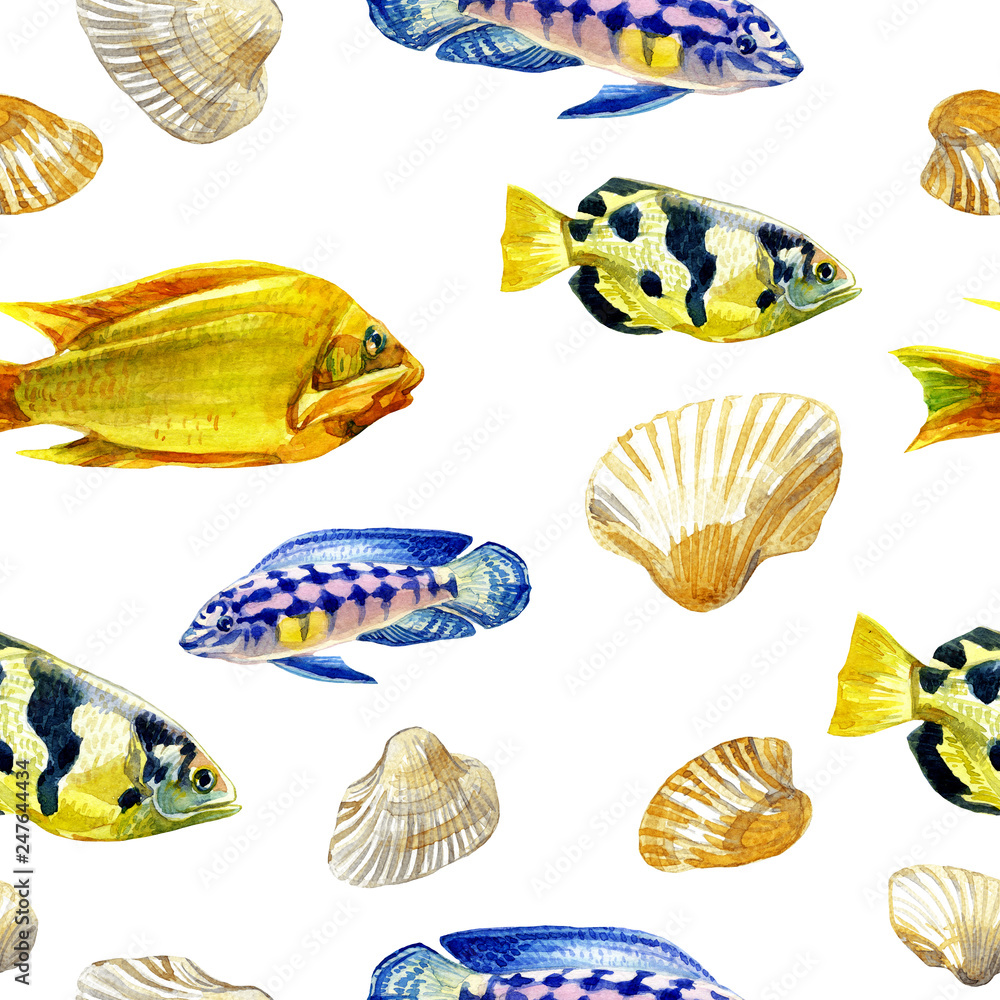Seamless patterns with tropical fish Seamless patterns with tropical fish
