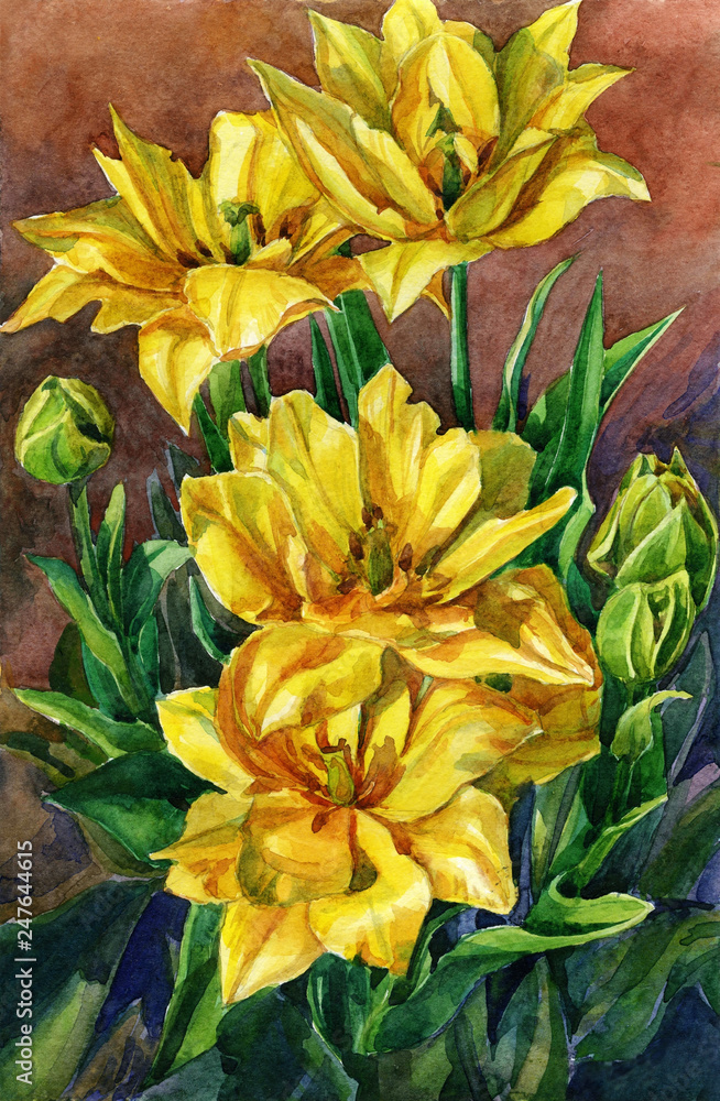 Obraz premium Watercolor painting of yellow tulips in the garden.