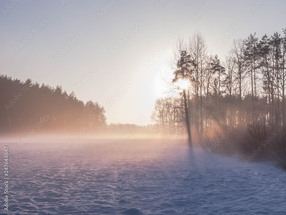 Naklejka premium Mglisty wieczór nad polami.