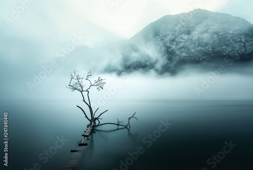 Stille