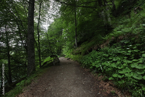 Lac Pavin - Besse-et-Saint-Anastaise - Dans les Monts Dore