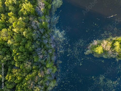 Celery Bog Nature Area. Drone shot of the lake. West Lafayette IN