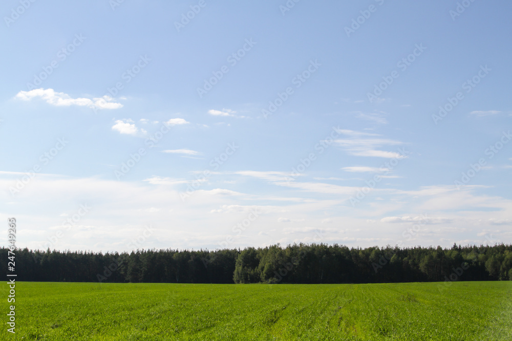 Green field Green field