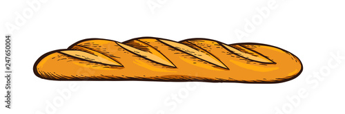 White bread. Baguette. Hand drawn vector. Color vintage engraving illustration for poster, label and menu bakery shop.