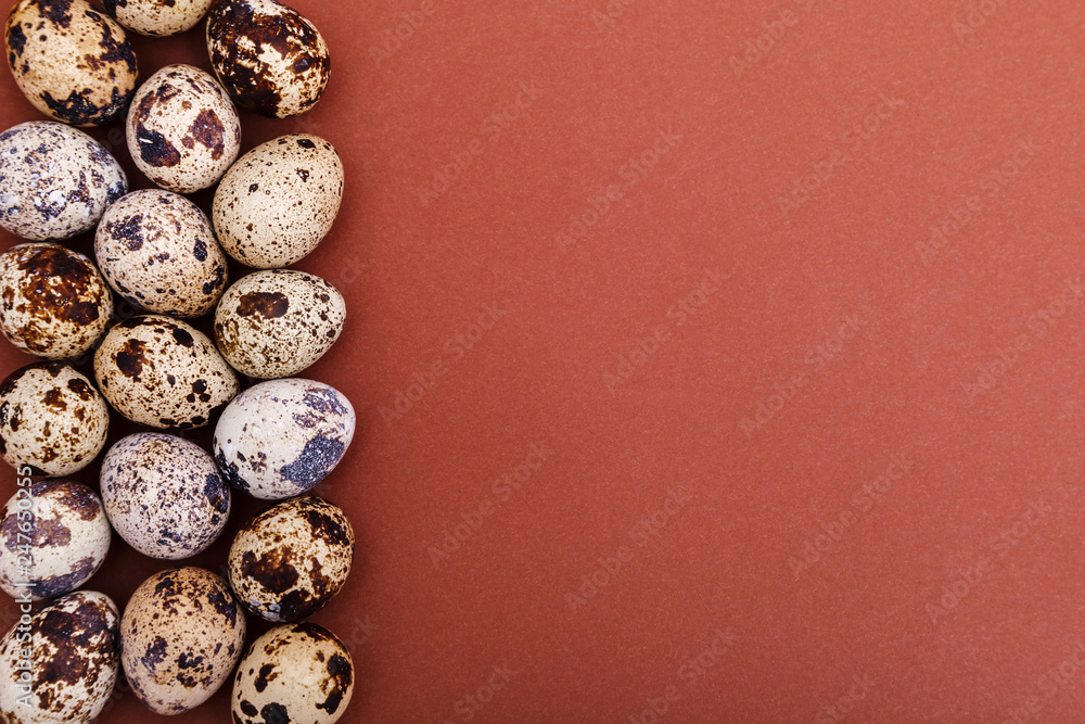 Quail eggs on a brown solid background, top view, copy space. Healthy food, Holidays, nature concept. Easter Background Quail eggs on a brown solid background, top view, copy space. Healthy food, Holidays, nature concept. Easter Background
