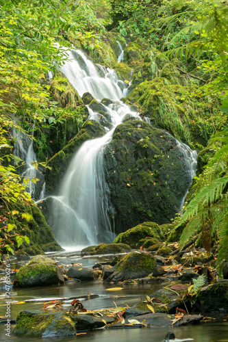 waterfall in the Crawfordsburn forest