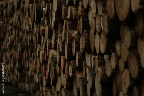 Photography logs