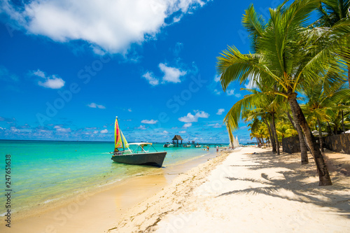 Trou aux biches, Mauritius. Tropical exotic beach with palms trees and clear blue water. © Tomasz
