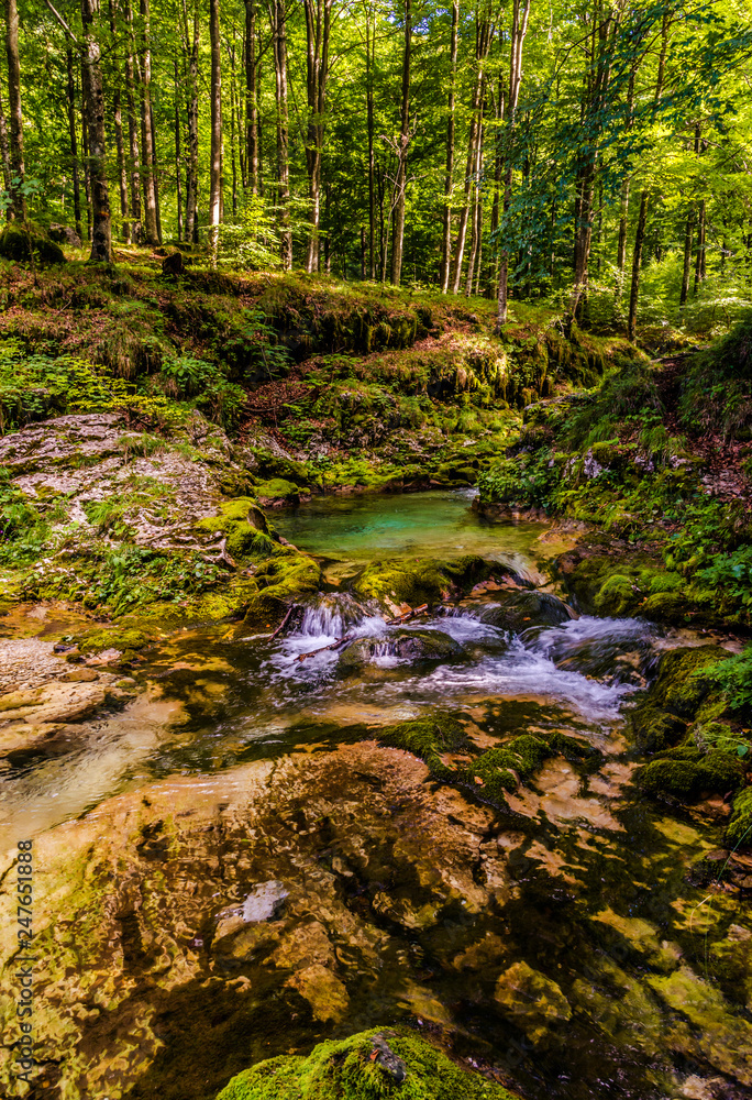 Obraz premium Arzino river