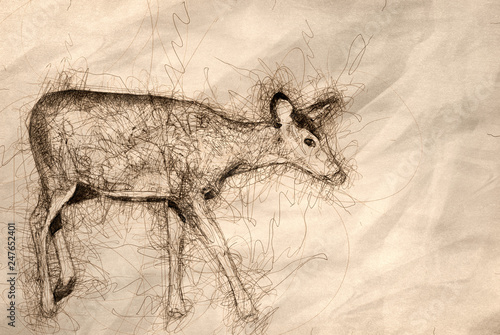 Sketch of a Deer in the Field photo