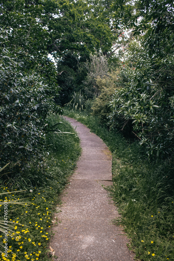 Overgrown Pathway