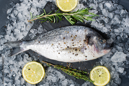 Dorado fish raw on a black chopping Board, ingredient rosemary, lemon, ice. Dark background, top view