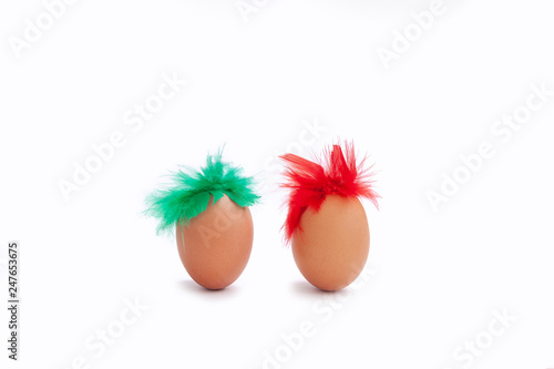 chicken eggs white background egg red green feathers isoiated hair brown gag two photo