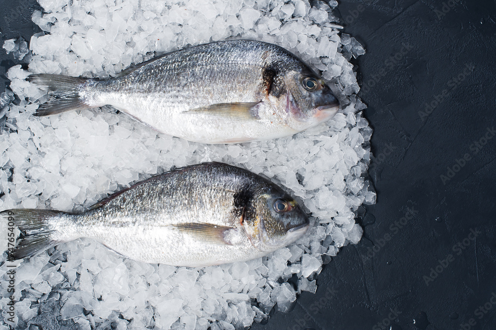 The raw Dorado fish on ice. Dark background, top view, space for text
