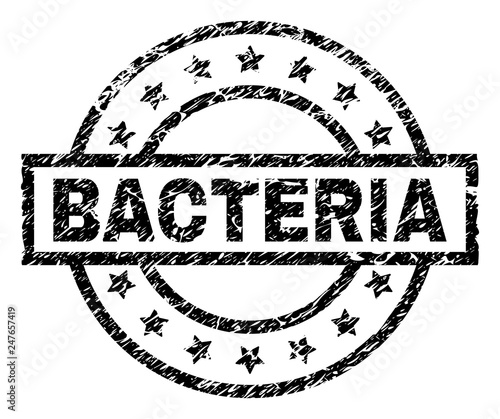BACTERIA stamp seal watermark with distress style. Designed with rectangle, circles and stars. Black vector rubber print of BACTERIA label with grunge texture.
