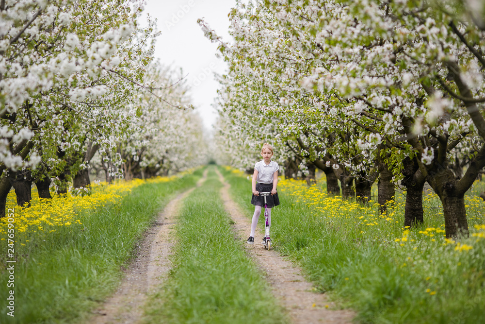 Little blonde girl running in blooming apple and cherry garden. Warm springtime and mothers and woman day Little blonde girl running in blooming apple and cherry garden. Warm springtime and mothers and woman day