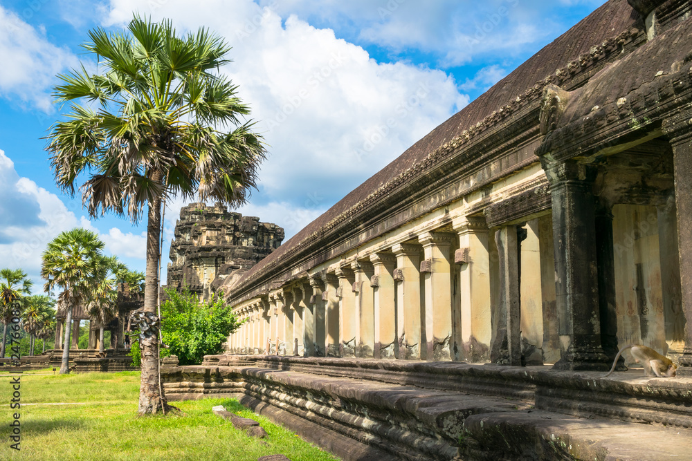 Enjoying a beautiful sunny day in Angkor Wat Temple - Siem Reap, Cambodia