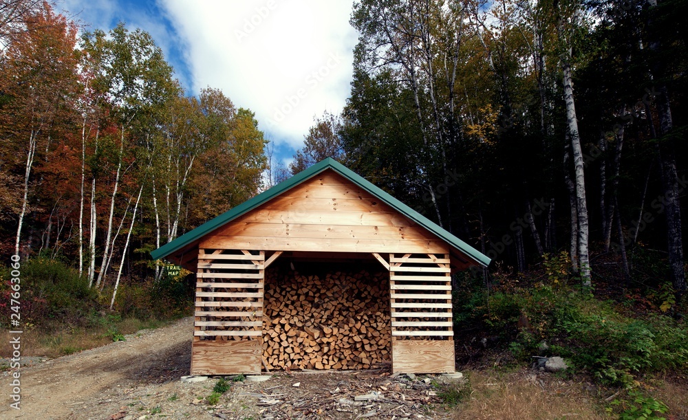 Covered Wood Pile in Maine with fall trees. Covered Wood Pile in Maine with fall trees.