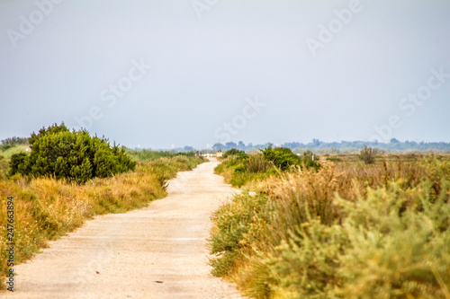 Camargue  Francia