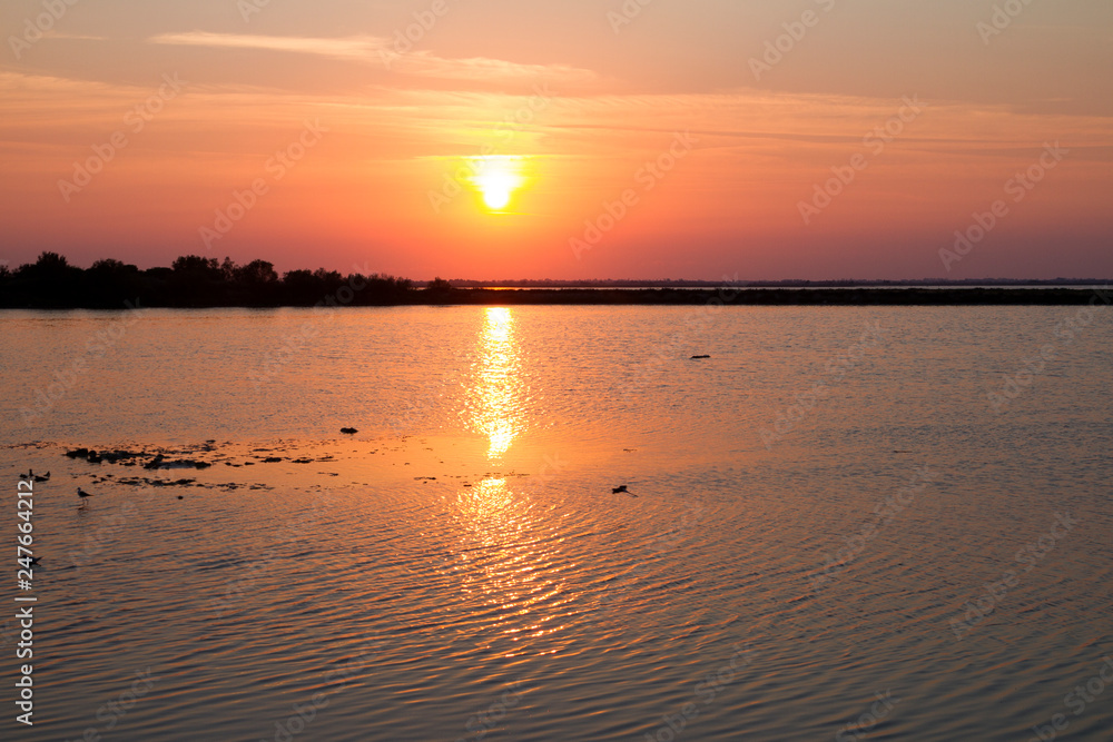 Camargue, Francia