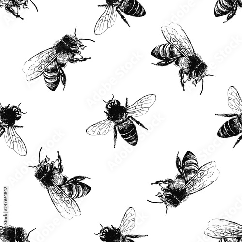 Seamless pattern of hand drawn sketch style bees isolated on white background. Vector illustration.