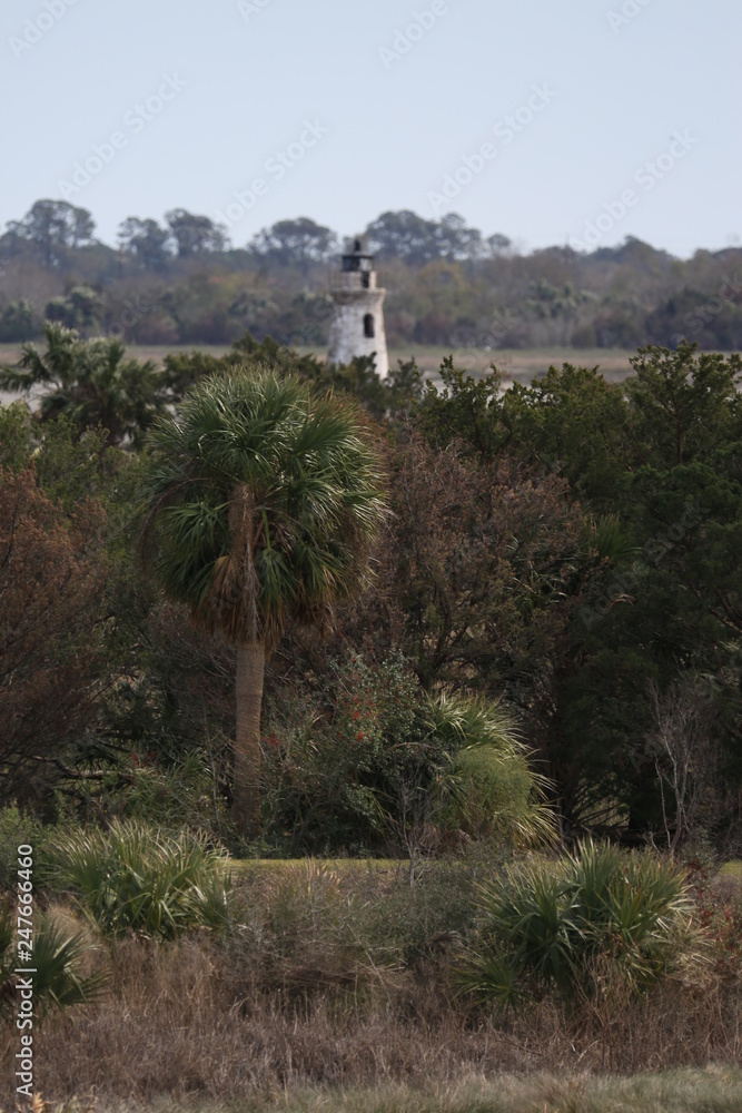Fototapeta premium Fort Pulaski Georgia