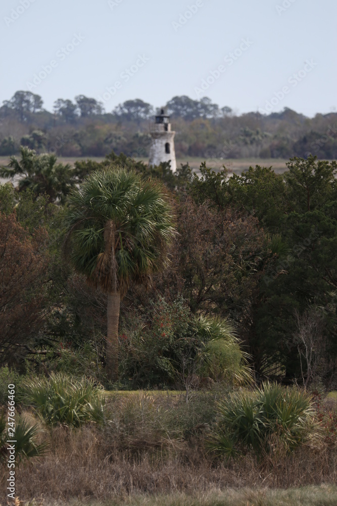 Fort Pulaski Georgia