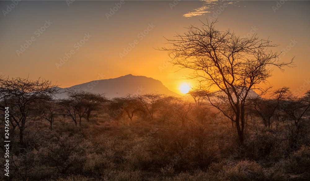 Sonnenuntergang zwischen zwei Bergen in der Savanne Kenias mit Schirmakazien im Gegenlicht