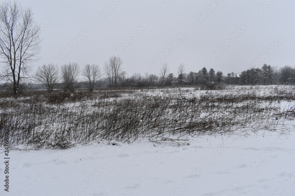 winter rural landscape with frozen trees and snow winter rural landscape with frozen trees and snow